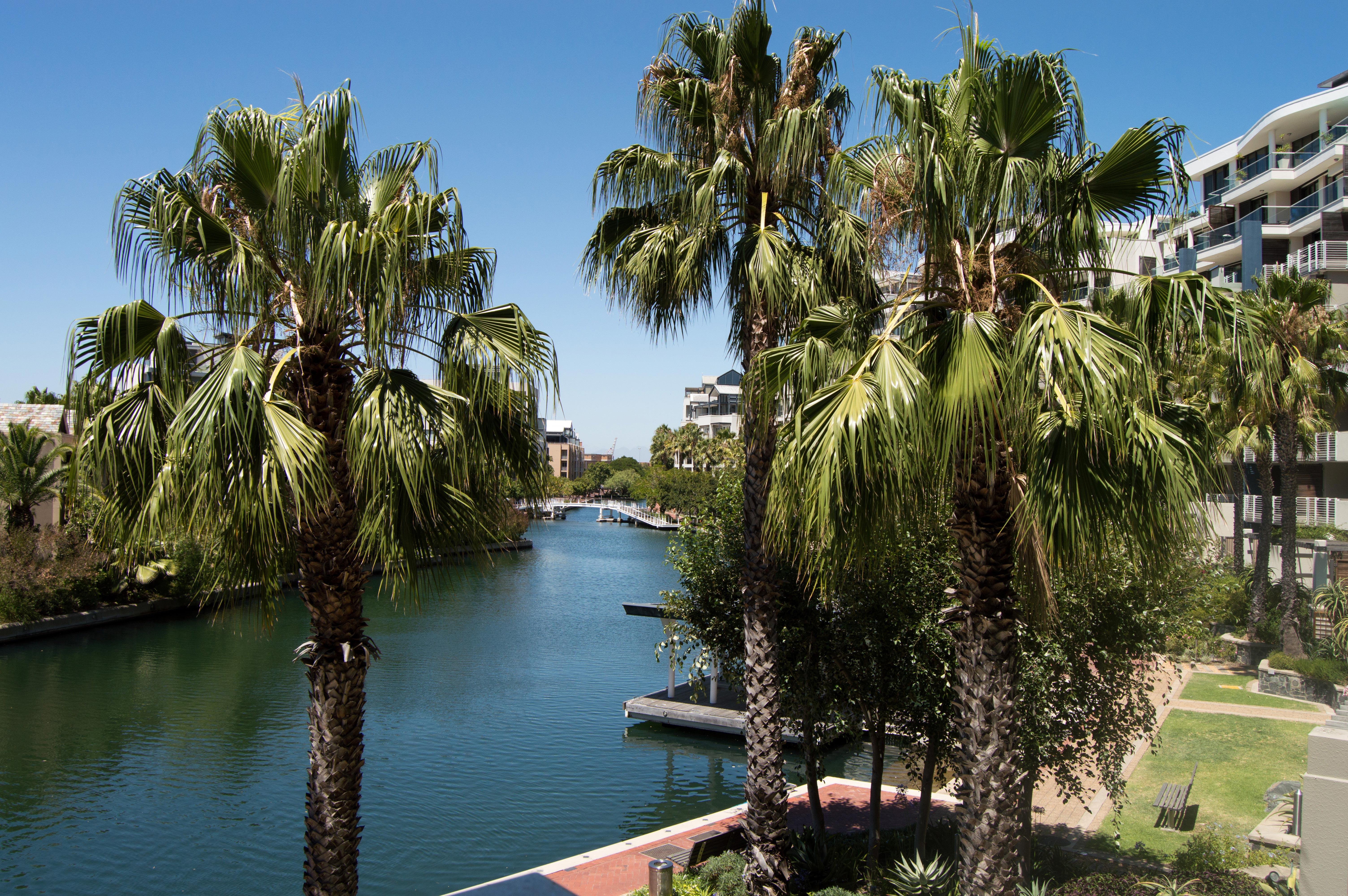 Waterfront Village Κέιπ Τάουν Εξωτερικό φωτογραφία